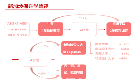 新加坡升學(xué)流程.png